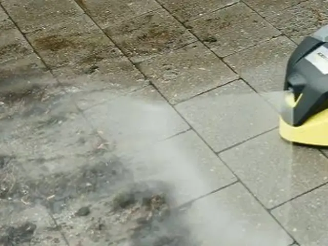 【薬剤なし！お子様やペットも安心】新築の白さを取り戻しませんか？サービスの画像