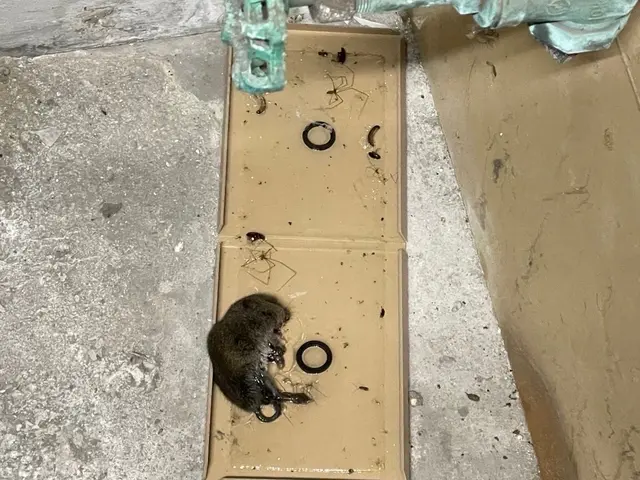 安心の技術で、害獣とサヨナラ。サービスの画像