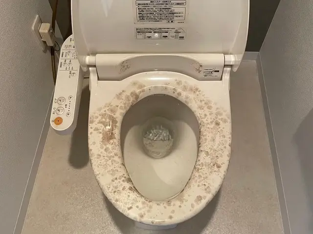 プロの技術でご満足いただけるように心を込めて作業いたしますサービスの画像