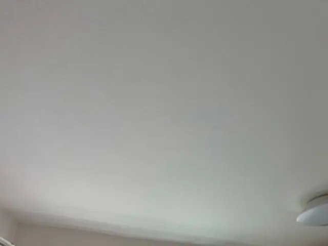 どんな凹みでも直します！サービスの画像