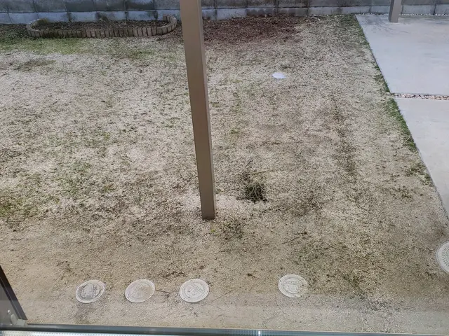 【年中無休でキレイをお届け☆】損害保険加入済み！汚れも匂いもスッキリ洗浄します♬サービスの画像