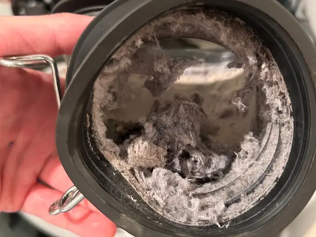 業界3年・作業実績200件以上！ドラム式洗濯機洗浄専門店サービスの画像