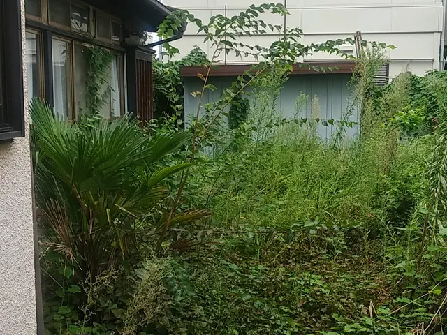 ★庭を彩る上質な庭園管理『草むしり』★お客様推奨 ★菊を采る東籬の下サービスの画像