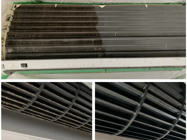 【3月限定】健康被害から守る徹底洗浄 今だけ8800円☆複数台割引あり！サービスの画像