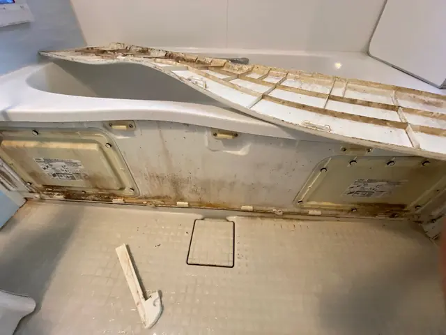 ★4月キャンペーン実施中★通常価格よりもプライスダウン！大手作業兼務！サービスの画像