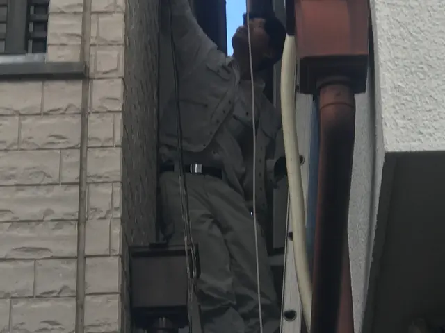 蜂駆除30年の実績サービスの画像