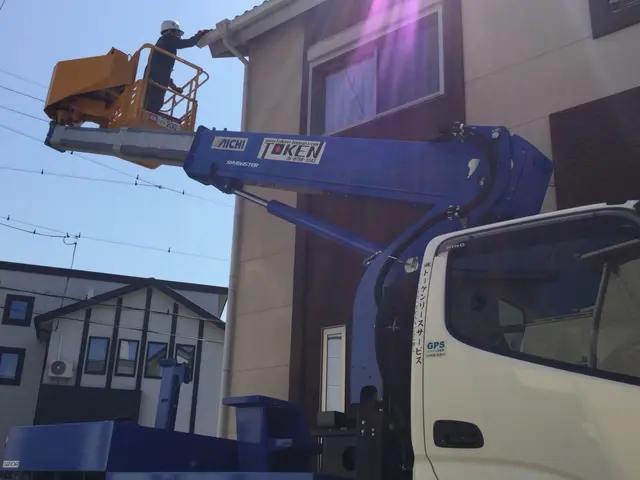 蜂駆除30年の実績サービスの画像