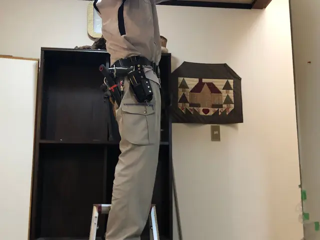 蜂駆除30年の実績サービスの画像