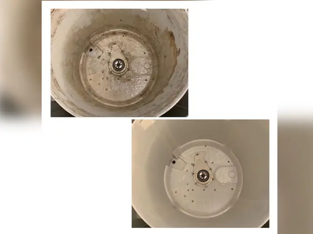 【洗濯機分解洗浄】全メーカー対応！ワカメ任せて下さい！ドラム式も対応可能！サービスの画像