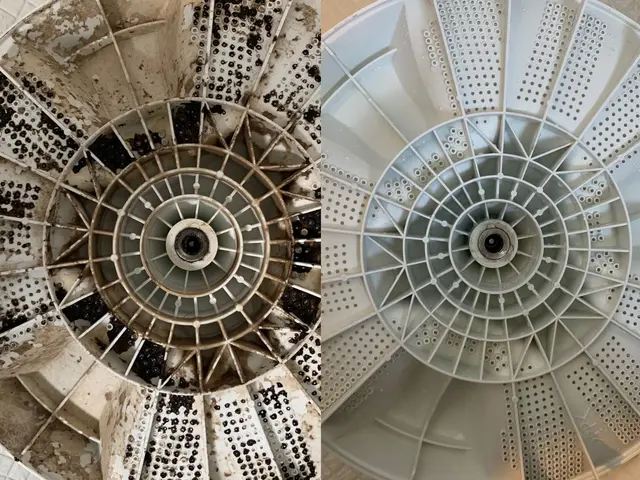 【洗濯機分解洗浄】全メーカー対応！ワカメ任せて下さい！ドラム式も対応可能！サービスの画像