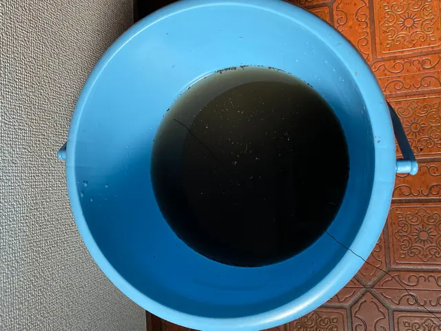 夏にカビたエアコンを洗浄しましょう！1台8,500円★★★★★サービスの画像