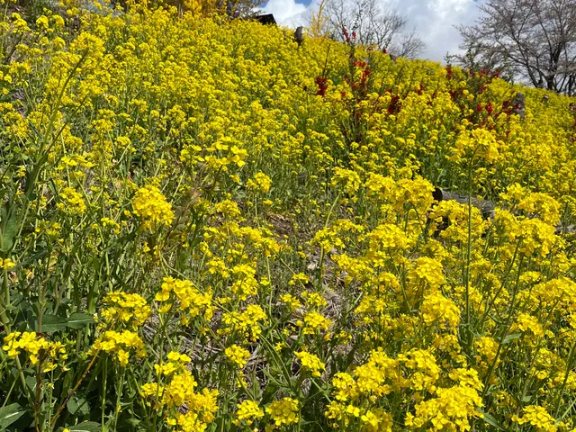 【職歴14年で施術数1万人以上】全身もみほぐし、フットケア、セットのコースサービスの画像