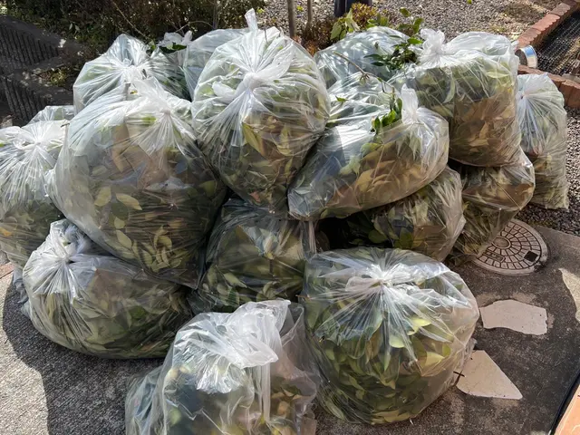 【年中無休で営業中】豊富な経験と知識で安心！ぜひお気軽にご相談ください♪サービスの画像