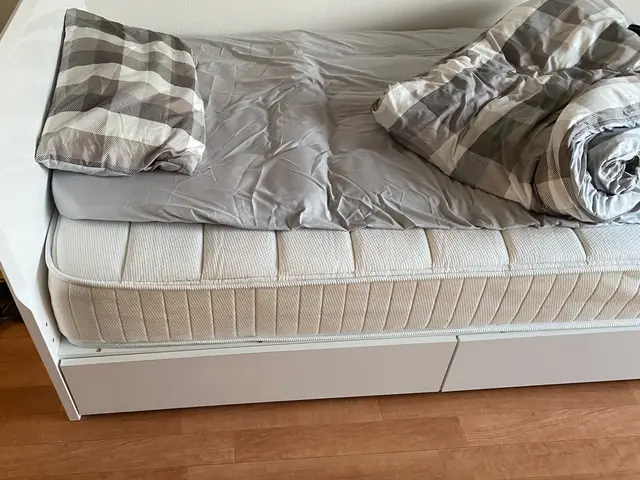 学生さんや単身のお引っ越し。県外へのお引越しの方も大歓迎です☆サービスの画像