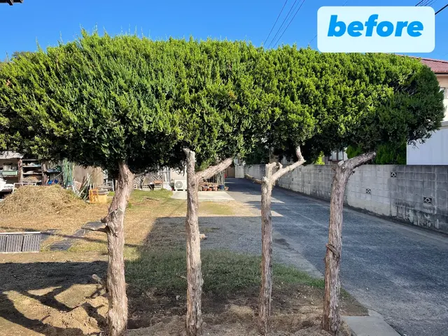 丁寧さとスピードを両立！子育てパパが真心込めて伐採サービスの画像