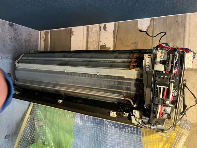 【新規出店キャンペーン】清潔・安心・丁寧☆ニオイも汚れも解決☆損害保険加入済◉サービスの画像