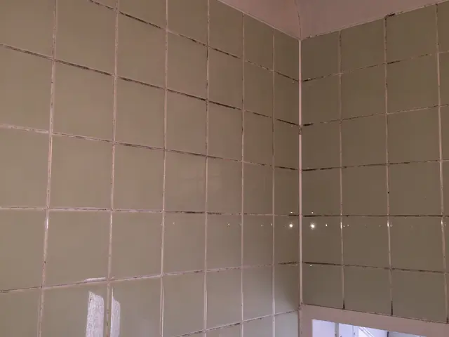 お風呂（浴室）クリーニングサービスの画像