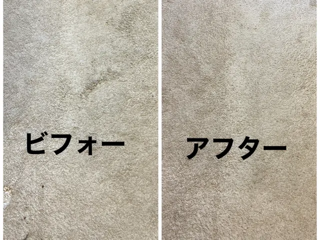 【年末限定】当日予約◎口コミ260件★職人直営のカーペット洗浄　空 6・7日サービスの画像