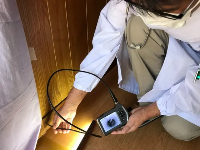 中京白蟻化学研究所　三河営業所サービスの画像