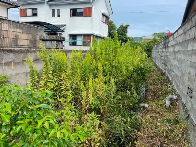 【12月新規出店】店長自ら訪問！四国全域対応の丁寧な作業で安心サービスの画像