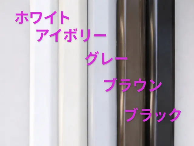 【初めての女性でも安心 】丁寧説明の設置工事と引越しの移設工事　防虫キャップ取付サービスの画像