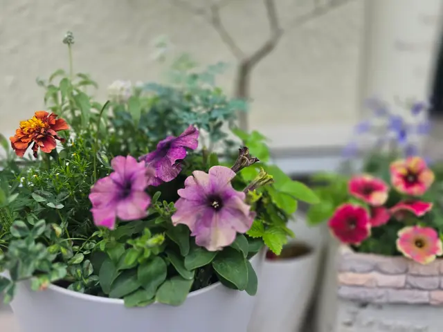 お見積り無料ですので、まずはお気軽にお問い合わせください❀サービスの画像