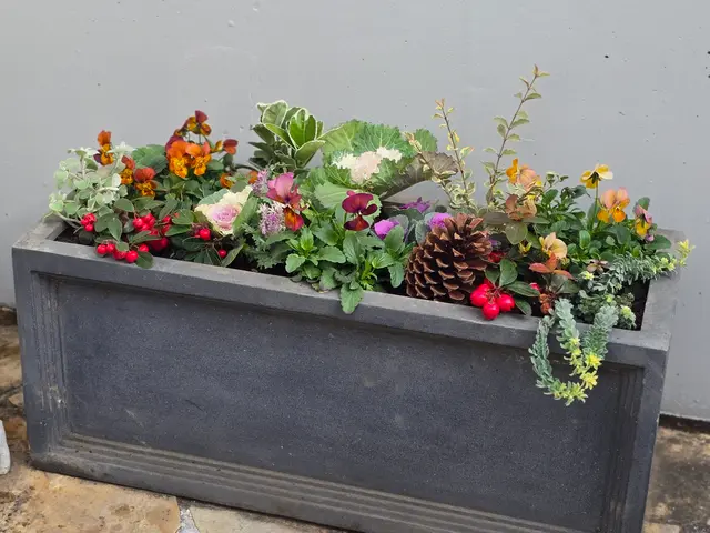 お見積り無料ですので、まずはお気軽にお問い合わせください❀サービスの画像