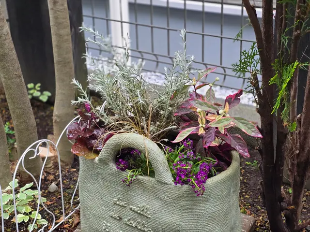 お見積り無料ですので、まずはお気軽にお問い合わせください❀サービスの画像