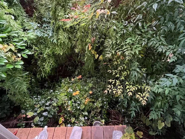 【おうちの御用聞き】地域密着・夫婦で対応★非喫煙◉保険加入♪安心な事前お見積◉サービスの画像