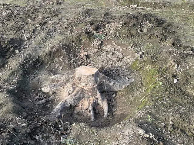 【おうちの御用聞き】地域密着・夫婦で対応★非喫煙◉保険加入♪安心な事前お見積◉サービスの画像