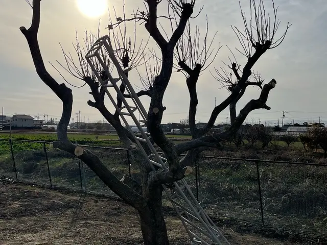 【おうちの御用聞き】地域密着・夫婦で対応★非喫煙◉保険加入♪安心な事前お見積◉サービスの画像