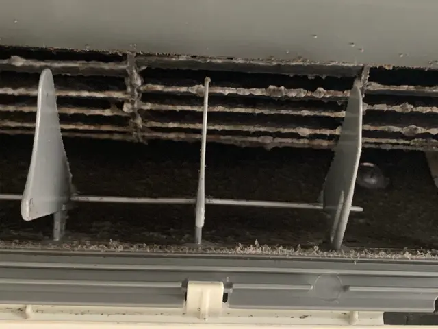 複数台予約でお得◎ 夫婦ともにキャリア20年のベテラン◎ 損保加入済安心店舗◎サービスの画像