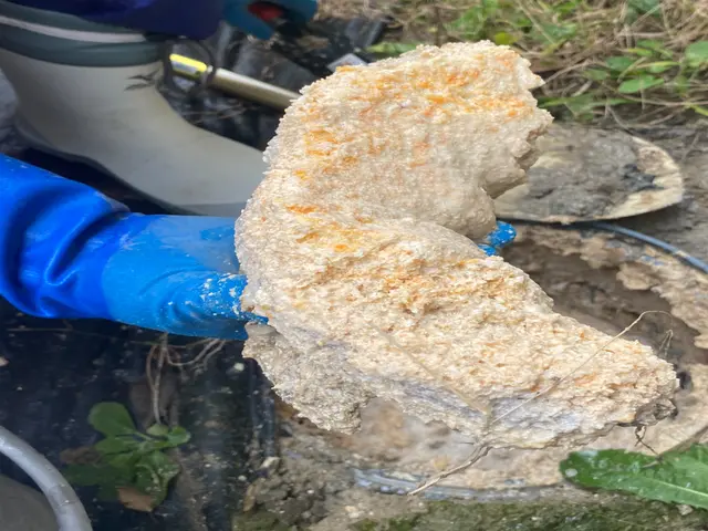 【緊急対応可能】店舗の詰まり・排水トラブルに高圧洗浄対応◎営業に配慮した即日解決サービスの画像