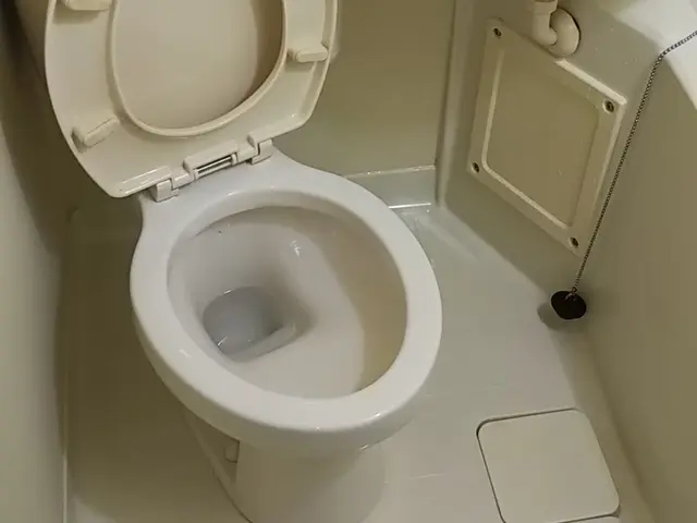 落ちない尿石・黒ずみもスッキリ！高評価のプロが丁寧に洗浄◎サービスの画像