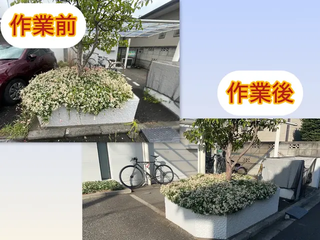 草取り、草むしりサービスの画像