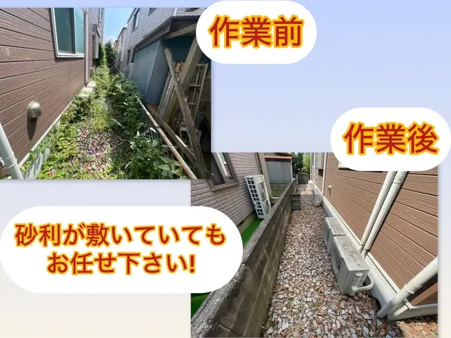 草取り、草むしりサービスの画像