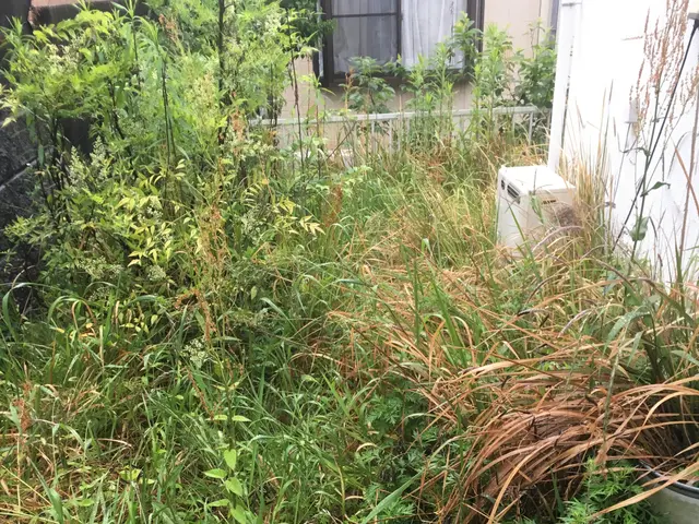 ＜年中無休＞お庭のお手入れおまかせ下さい！実績豊富なスタッフがお伺いします◎サービスの画像