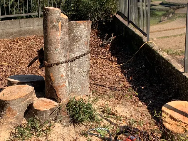 庭木、敷地内のスッキリ伐採！サービスの画像