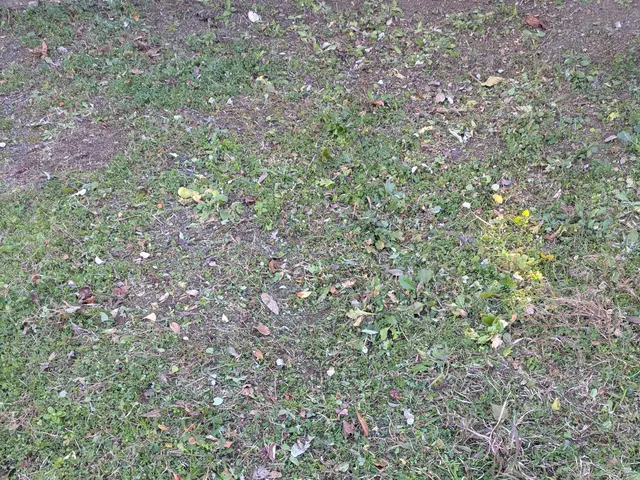 ◆予約から施工まで100%自社対応◆駐車代お店負担◆迅速丁寧に対応しますサービスの画像