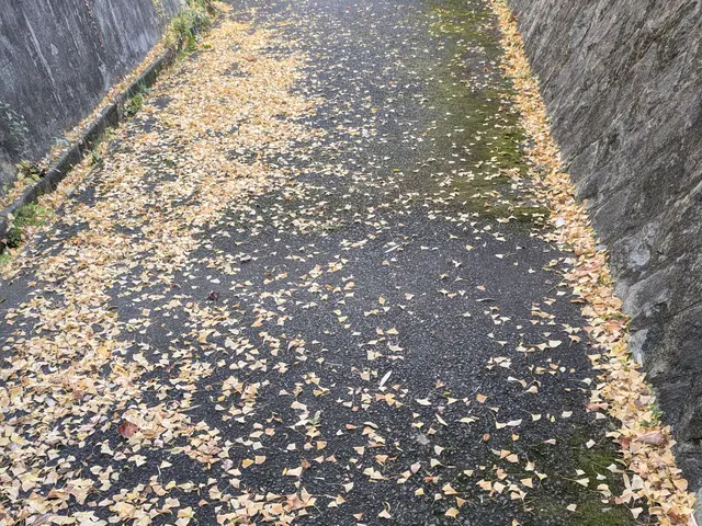 ◆予約から施工まで100%自社対応◆駐車代お店負担◆迅速丁寧に対応しますサービスの画像