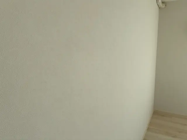 ハウスダストアレルギー経験者だからこそできる、綺麗な空間作り！サービスの画像