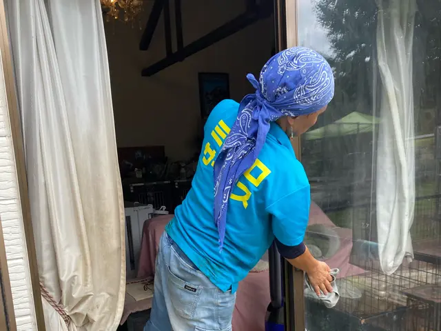 窓ガラス、サッシお掃除しますサービスの画像