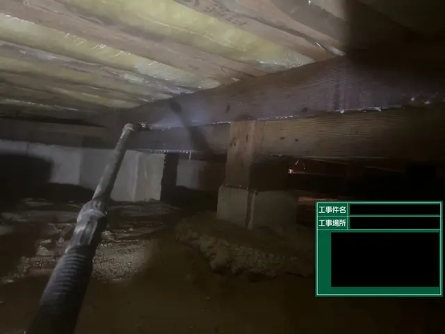 安心のネズミ駆除・予防サービスサービスの画像