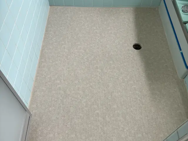 滑りにくい冷たくない床へ！お風呂を丸ごと変えなくても短時間で低価格で工事可能ですサービスの画像