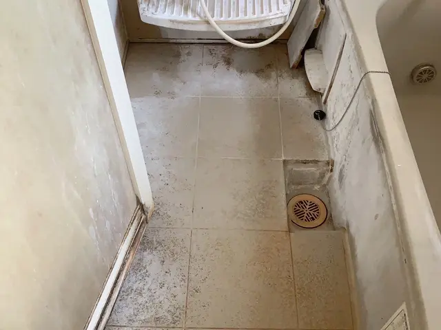 キッチン､換気扇(キッチン)､お風呂3点セットサービスの画像