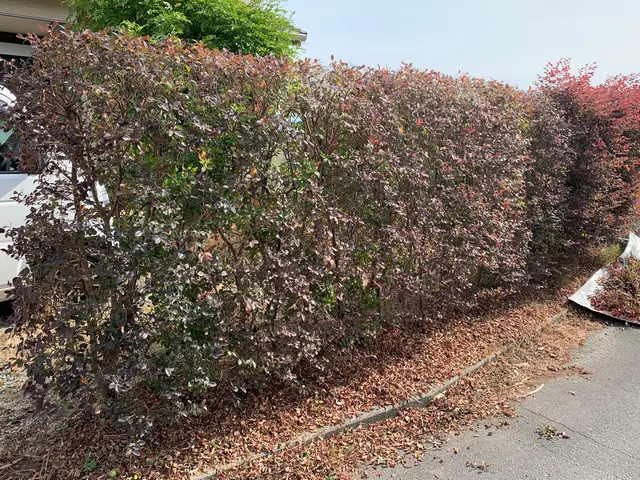 2年連続アワード入賞の植木屋《リョクケイ》造園施工管理技士が対応。サービスの画像