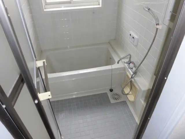 掃除する時間、労力を考えたら頼んで任せてみるのも悪くないですよ。サービスの画像