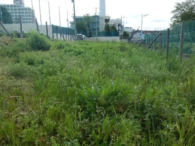 土地の管理者様、アパートオーナー様、マンションの管理組合様　必見！サービスの画像