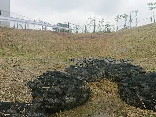 土地の管理者様、アパートオーナー様、マンションの管理組合様　必見！サービスの画像