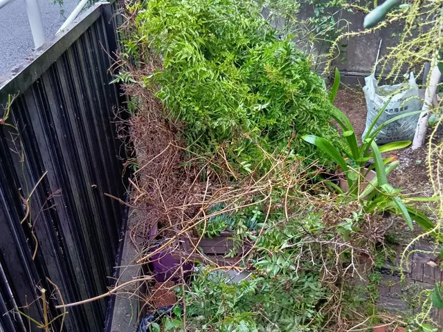 女性スタッフの同行OK◎作業外注一切なし◎当社スタッフがすべてご対応！サービスの画像